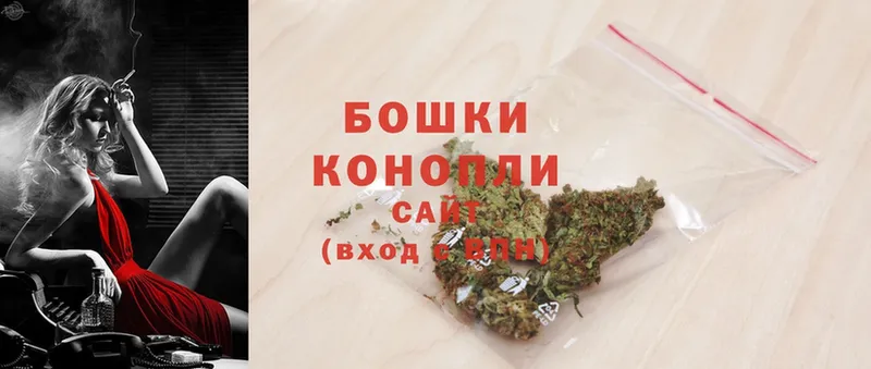 Бошки Шишки OG Kush  Шахты 